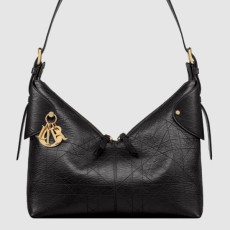 디올 Voyage 미디엄백