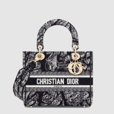 디올 레이디백 디라이트