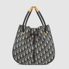 디올 Nolita 미디엄 백