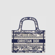 디올 북토트 미니